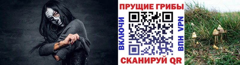 Купить закладки  Хилок  Галлюциногенные грибы мицелий 